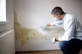 Best Mold Damage Restoration  in Lawson, MO